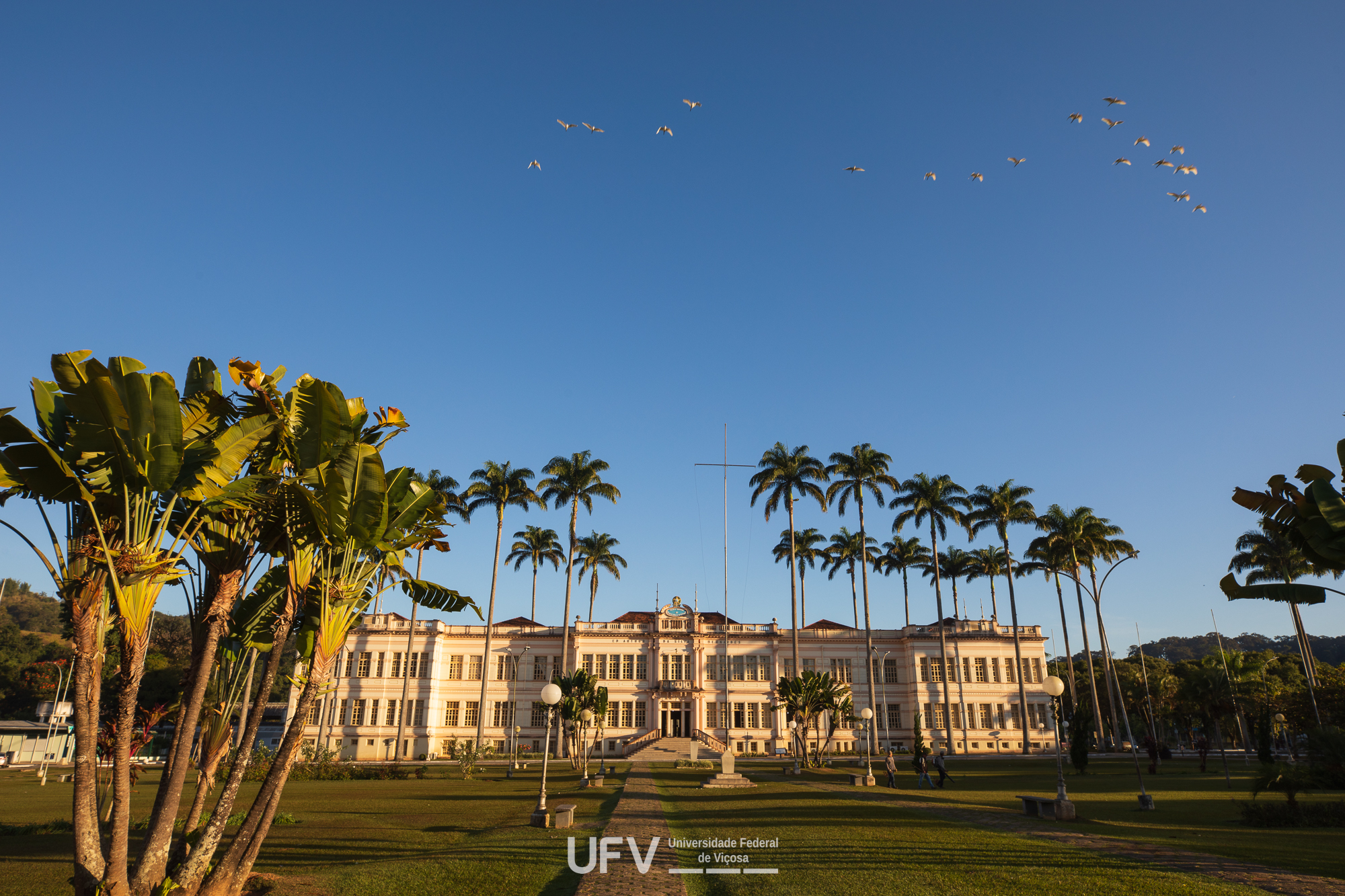 UFV